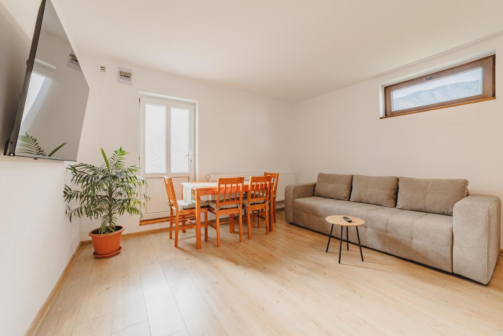 Apartment Zorilor