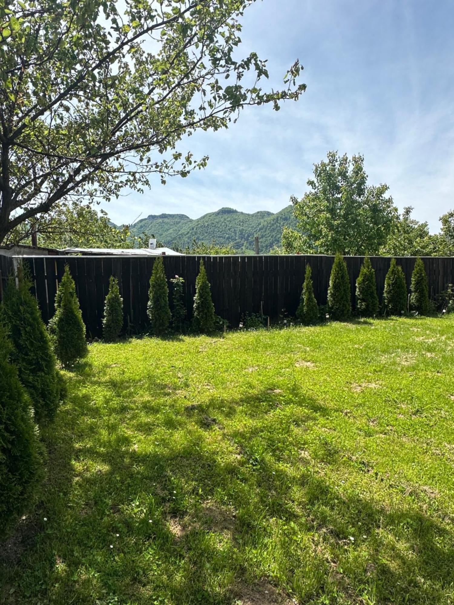 Apartment Zorilor Zarnesti