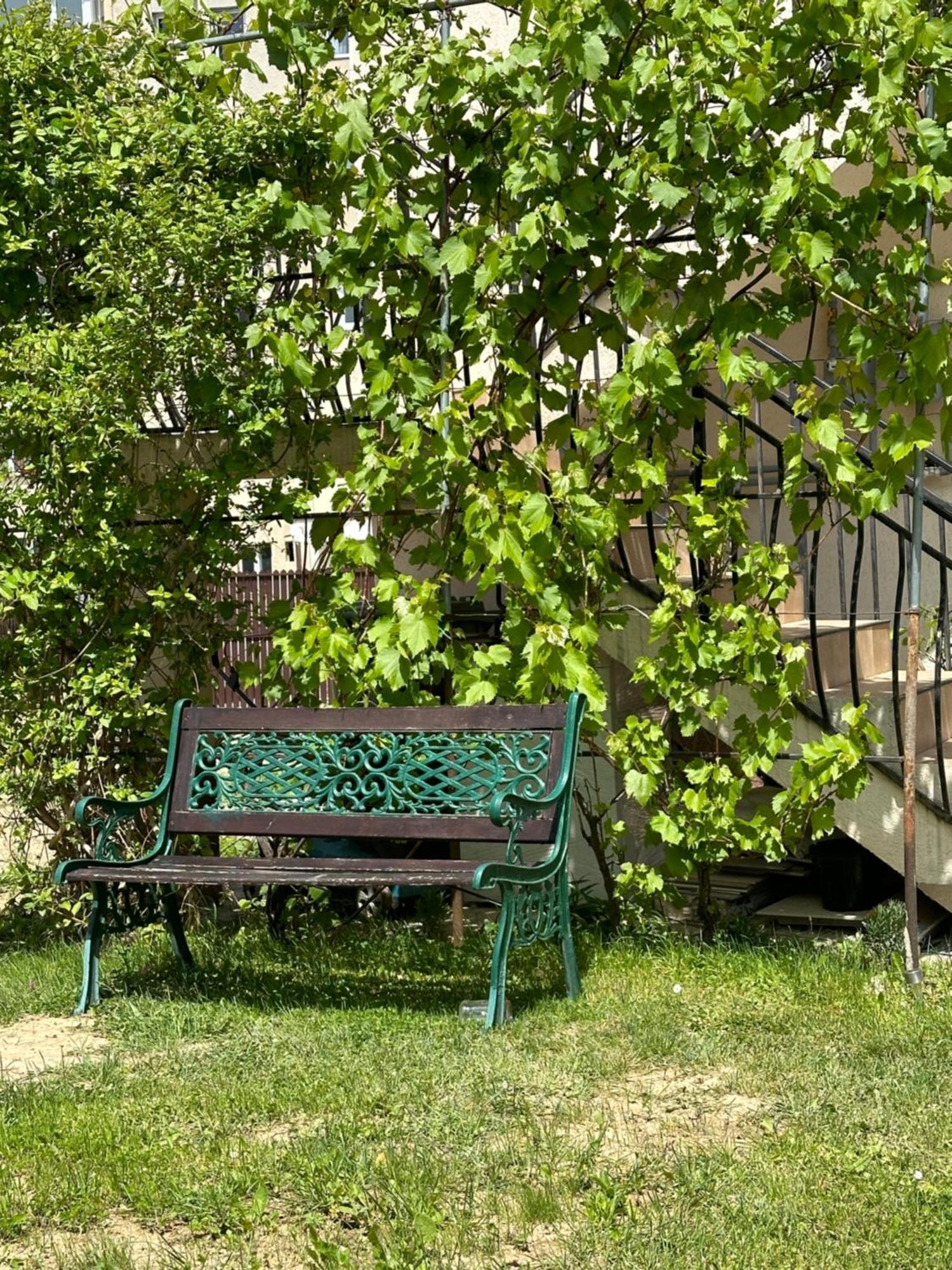 Zorilor Apartment *